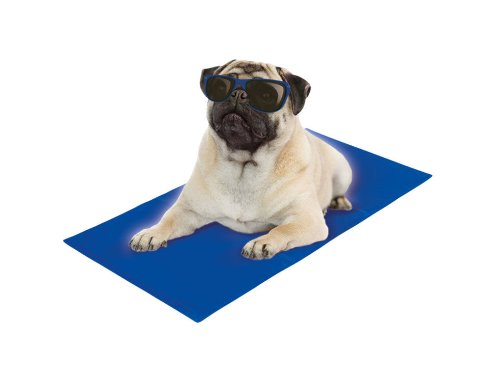 Nobby Cooling Mat for Dogs