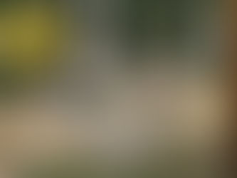 Kampfkunst- & Wildniscamp 2025