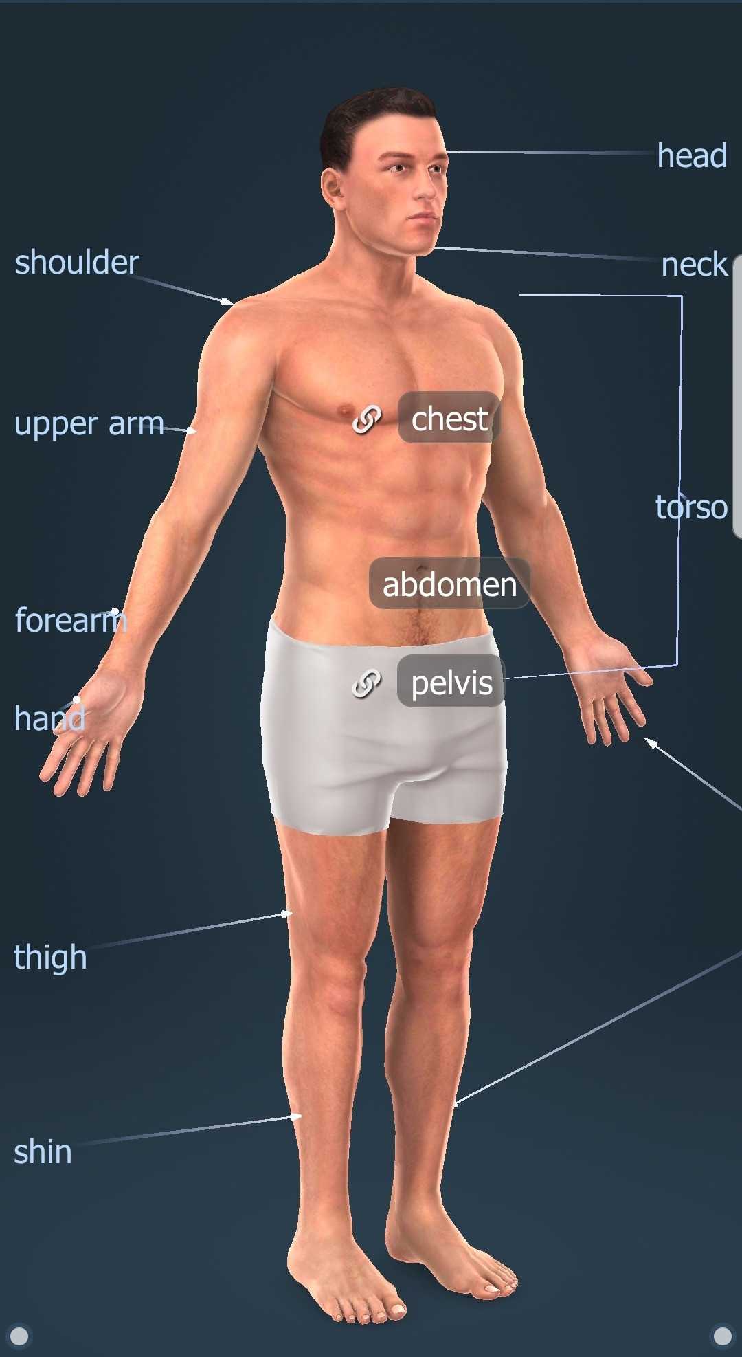 Body Parts In Tamil And Sinhala : Learn Sinhala Through Tamil Flutterx