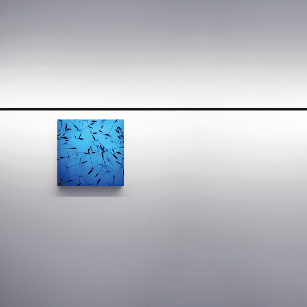 Minotti, B&B Italia, Cassina, Flexform, Poltrona Frau, Altagamma, купить, Москва, Davide Groppi, Infinito, светильник,