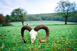 IMG_3368-BorderMaker