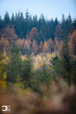 Christophe Guyot-12-2