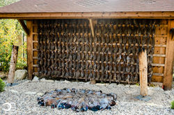 Christophe Guyot-328