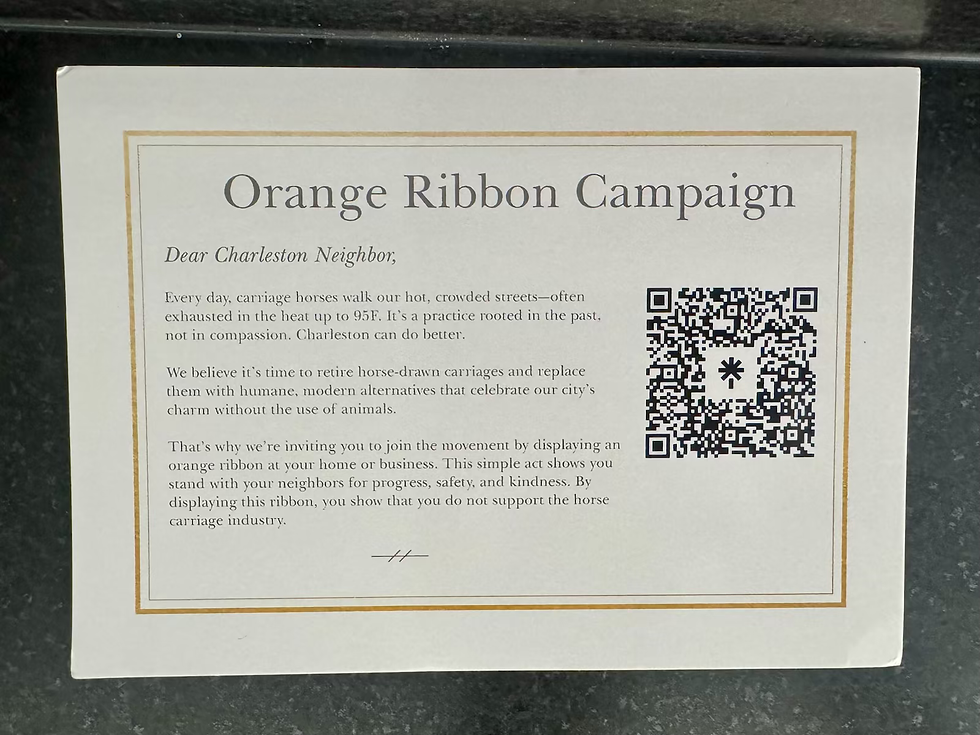 Building Unity in Charleston: The Impact of Orange Ribbons and Community Efforts