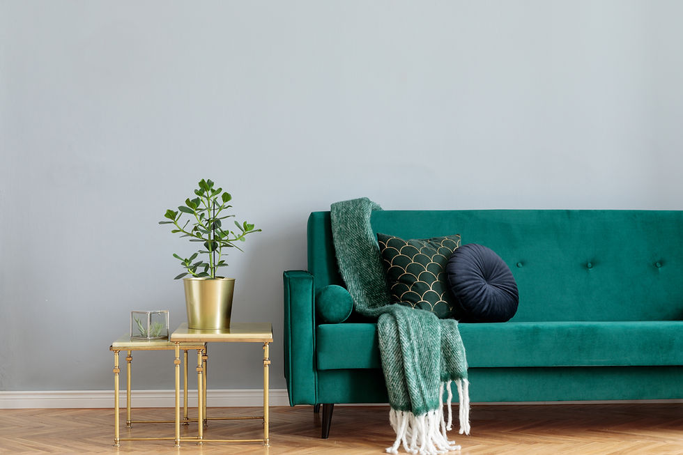 Stylish home interior with green velvet design sofa, gold coffee table, plant and elegant