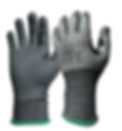 Silverback%20Cut%20Out_edited.jpg