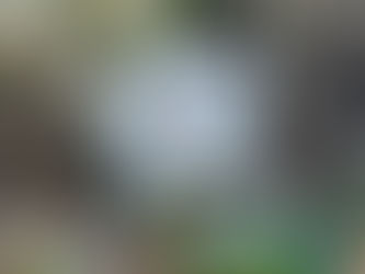 諦めても楽しめる山歩き(大江山・京都府福知山)