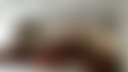 Xi’s Anti-Corruption Campaign: An All-Purpose Governing Tool