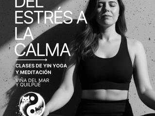 Yin Yoga Con Zentido 
