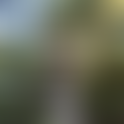 Yoga en Viña del Mar para calmar el estrés y la ansiedad