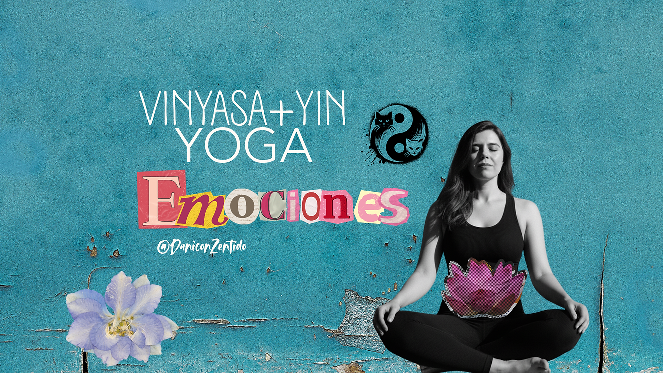 videos conZentido (1).png