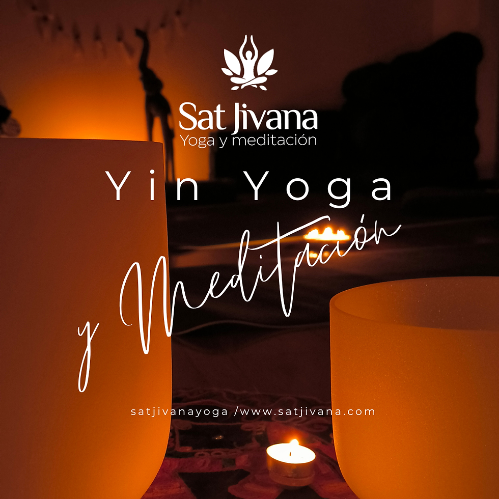 Vista panorámica de un estudio de Yin Yoga en Viña del Mar con ambiente tranquilo y acogedor