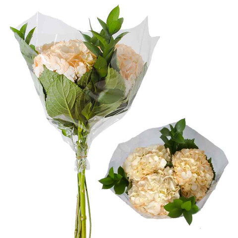 Peach Bouquet