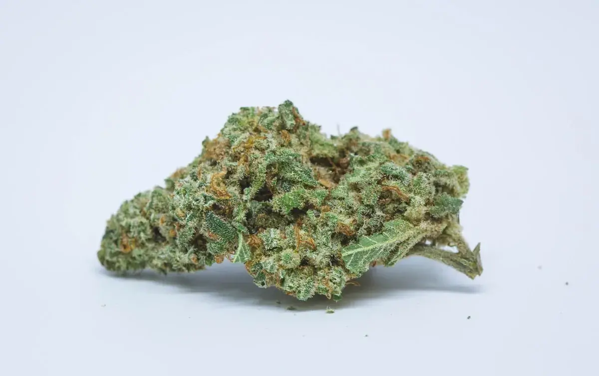 Sour 98