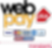 webpay-plus_edited.png