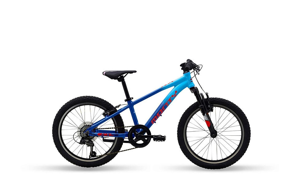 Monty KX5 (vélo enfant 20")