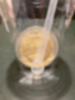 Lion's Mane Powder: 10 servings