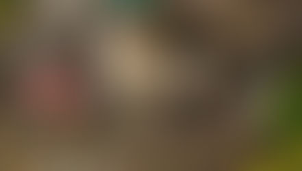 Você teria coragem de passar a noite nesta cabana na encosta de um penhasco?