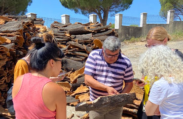 Digital nomads participating in a cork workshop in Benarraba, Andalusia, after their workday.