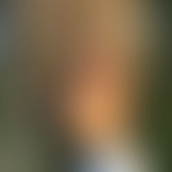 5 FORMAS DE MEJORAR TU BIENESTAR