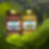 sea moss .jpeg