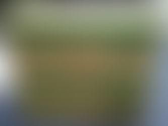 ZEO®環保強化低碳紙箱系列 在台上市