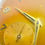 Thumbnail: Omega Jumbo Calatrava, tropical dial, ref. CK 2639-13 in steel