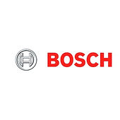 Bosch.jpeg