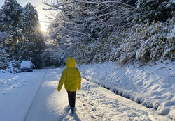 Winter walk.jpeg