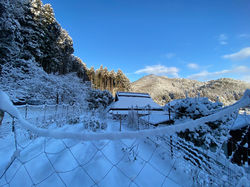 IMG_4773.jpeg