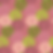 Thumbnail: FLOWER BEDS | Blush