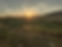 IMG_4393.jpeg