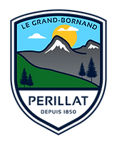 Perillat_Logo_G6_edited.png
