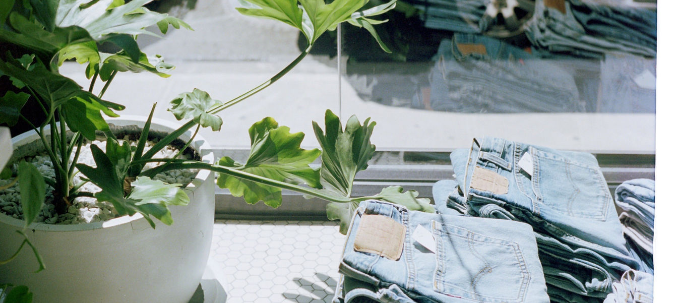 Jeans Store Window