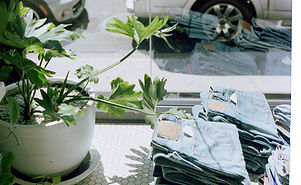 Jeans Store Window