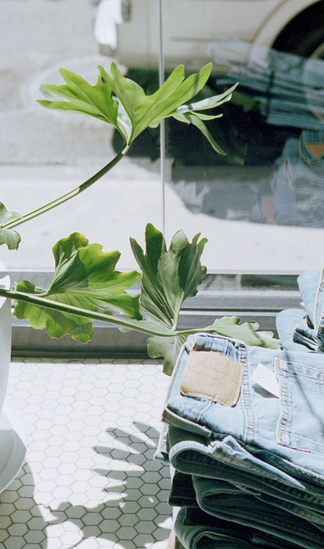 Jeans Store Window
