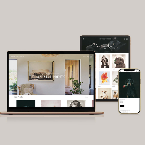 Henry and george website mockup.png