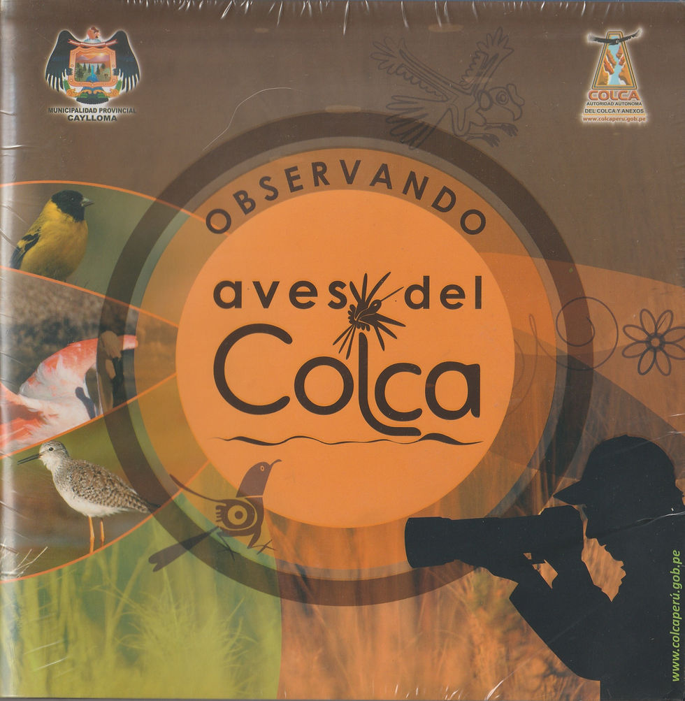 Observando Aves del Colca