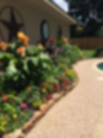 Tropical Summer Border Garden
