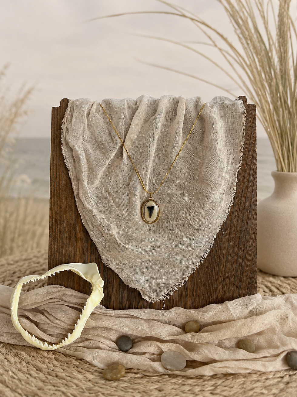 The Sea Glass Shark Tooth Necklace