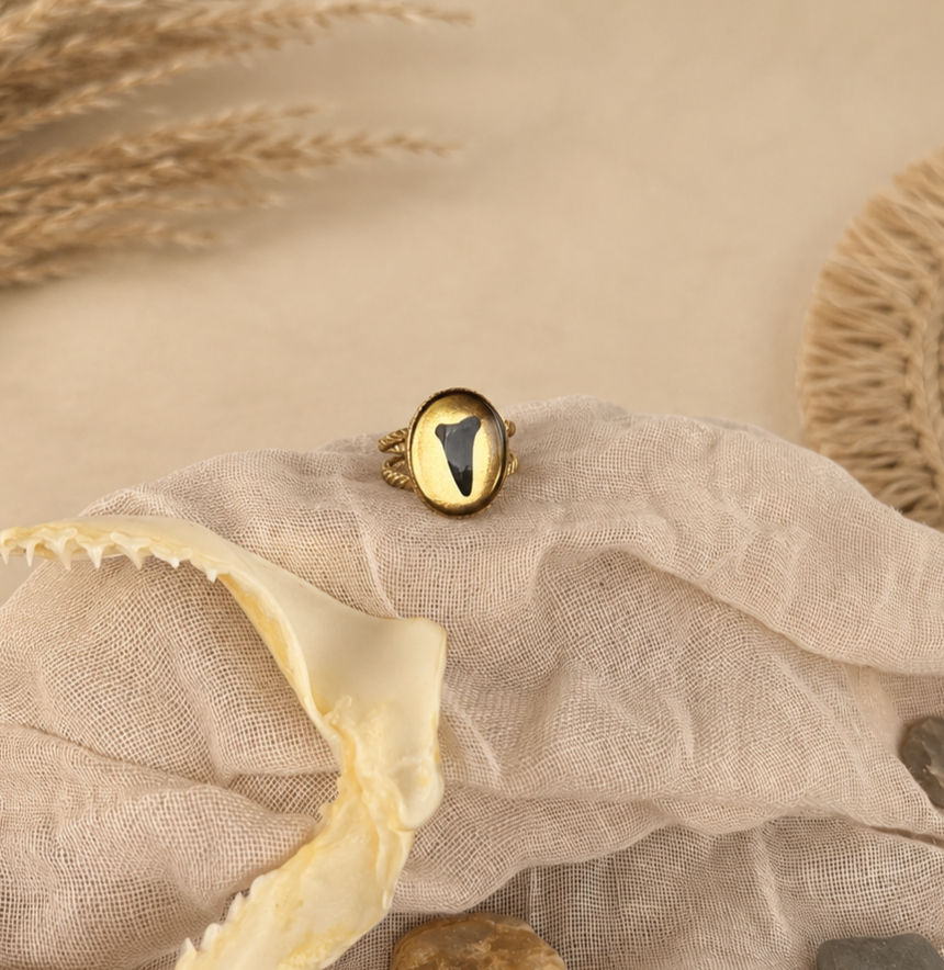 The Delmar Shark Tooth Ring