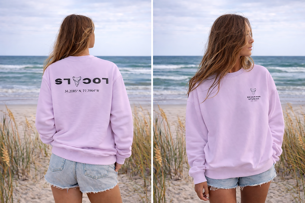 Thumbnail: LOCALS Coastline Crew