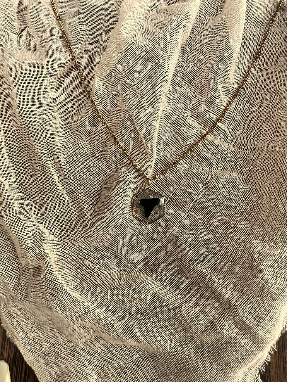 Thumbnail: The Inlet Shark Tooth Necklace