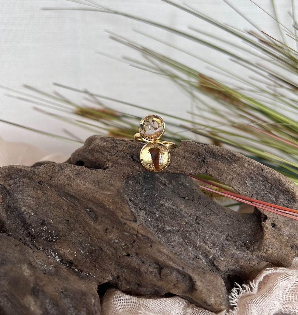 The Lani Shark Tooth Ring