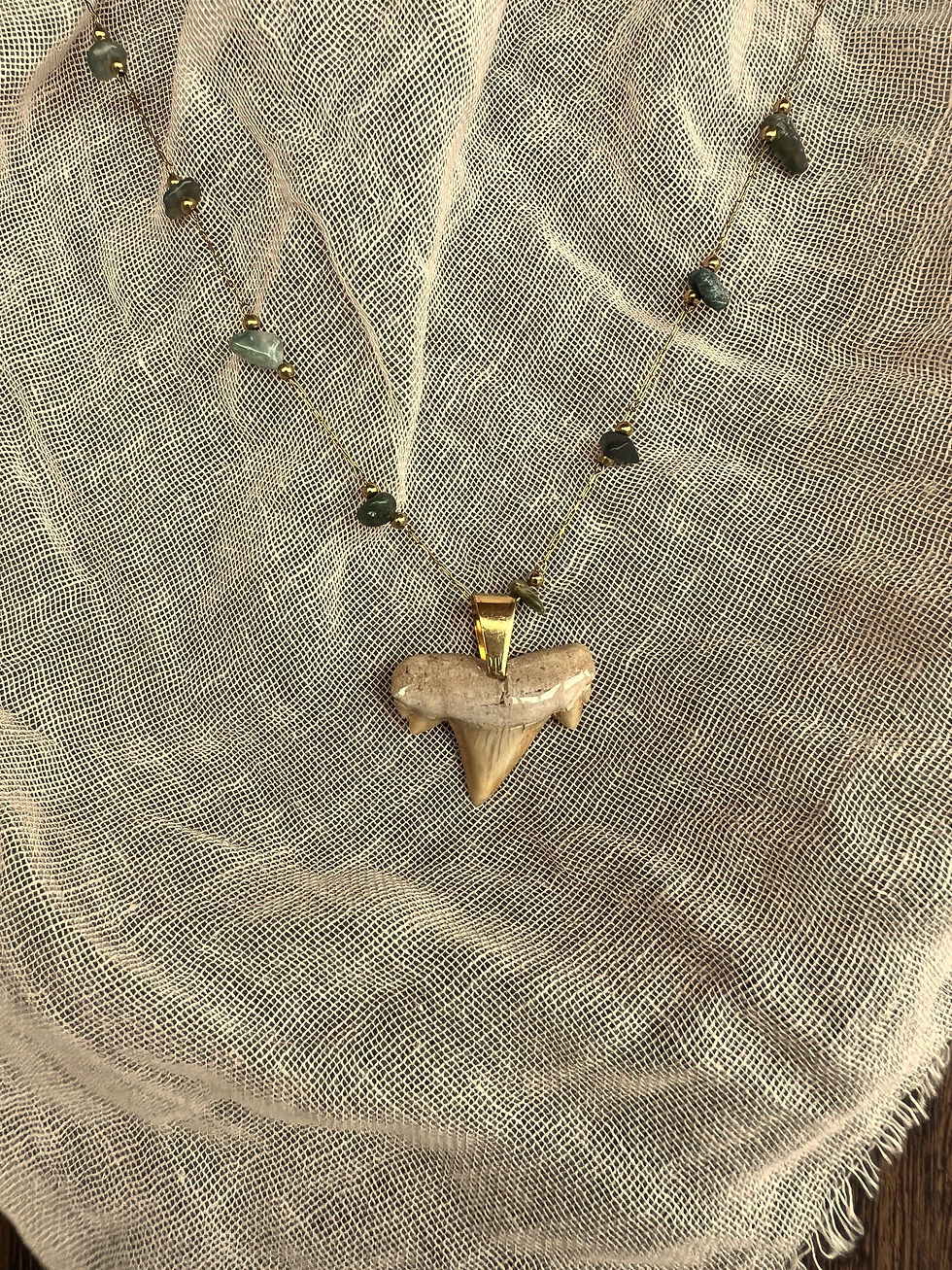 Thumbnail: The Seabrook Shark Tooth Necklace