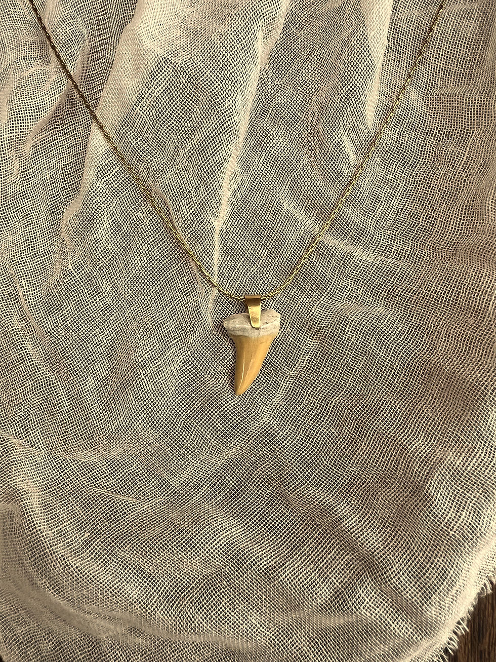 Thumbnail: The Shoal Shark Tooth Necklace