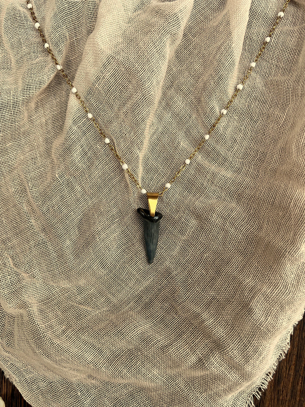 Thumbnail: The Mariner Shark Tooth Necklace