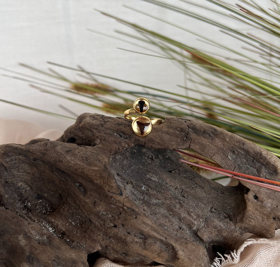 The Nai Shark Tooth Ring