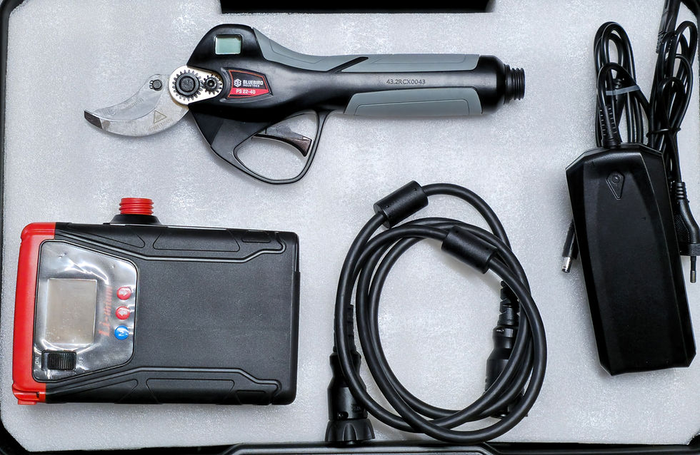 Miniatura: forbice a batteria professionale