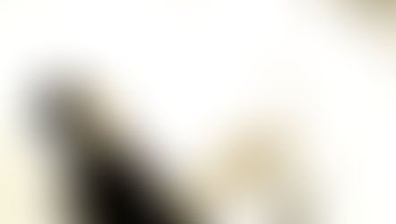 SHOULD JESUS REALLY BE WATCHING OUR WEALTH?